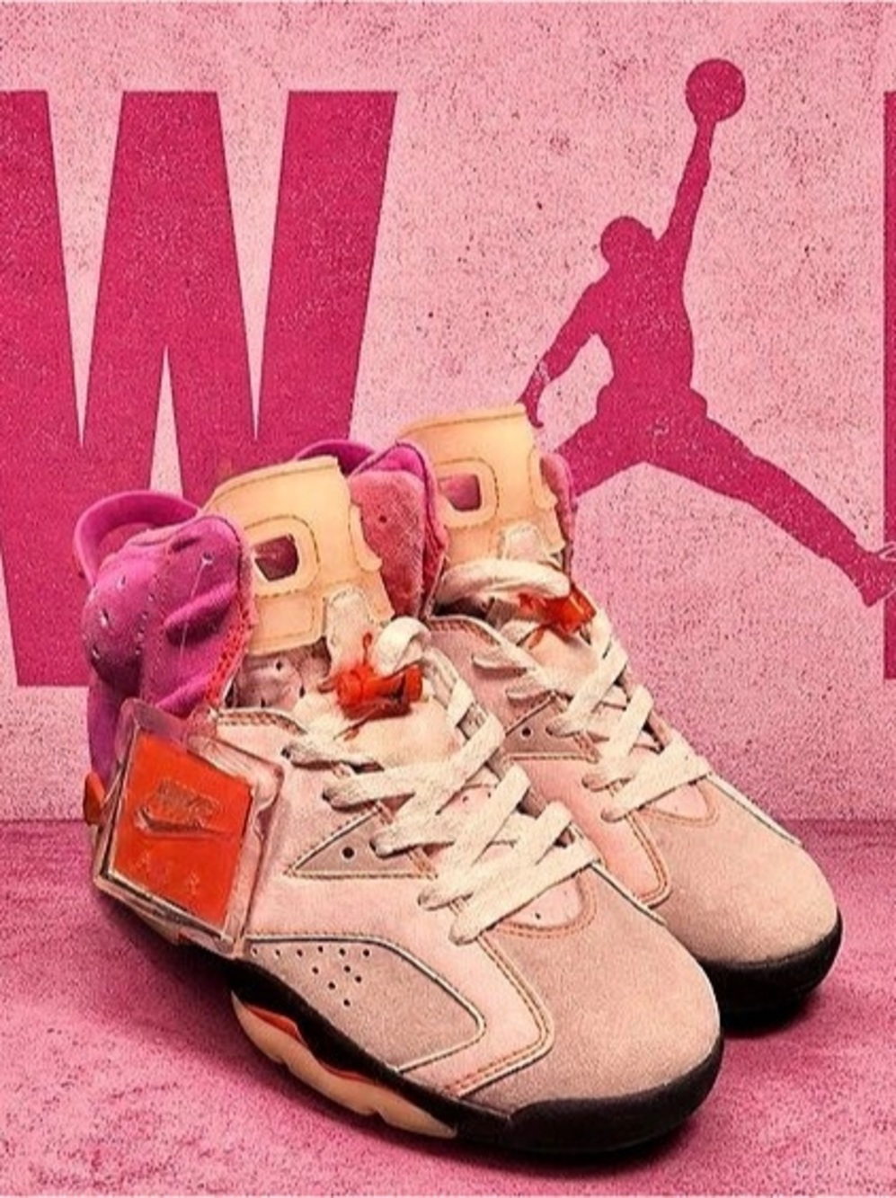Awake NY x Air Jordan 6 Retro 'Bubblegum'